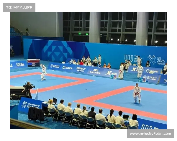 以空手道特色学校建设为抓手全面提升项目后备人才培养质量